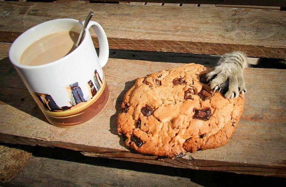 So you wanna yarn add a dependency from a git repo?