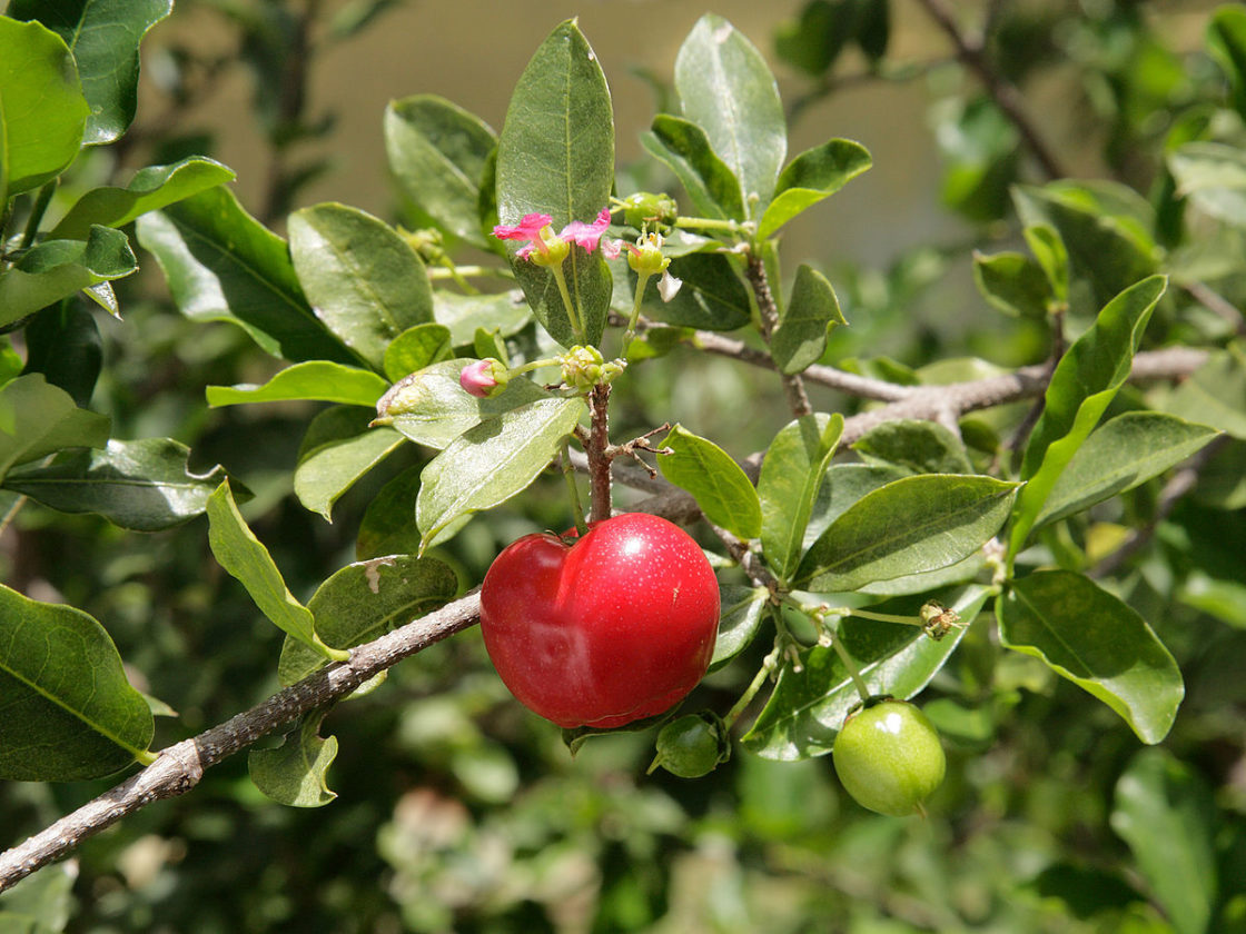 Cherry-picking your way out of trouble
